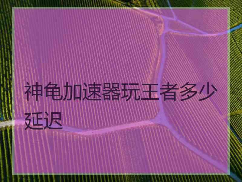 神龟加速器玩王者多少延迟