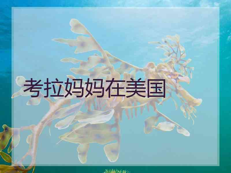 考拉妈妈在美国