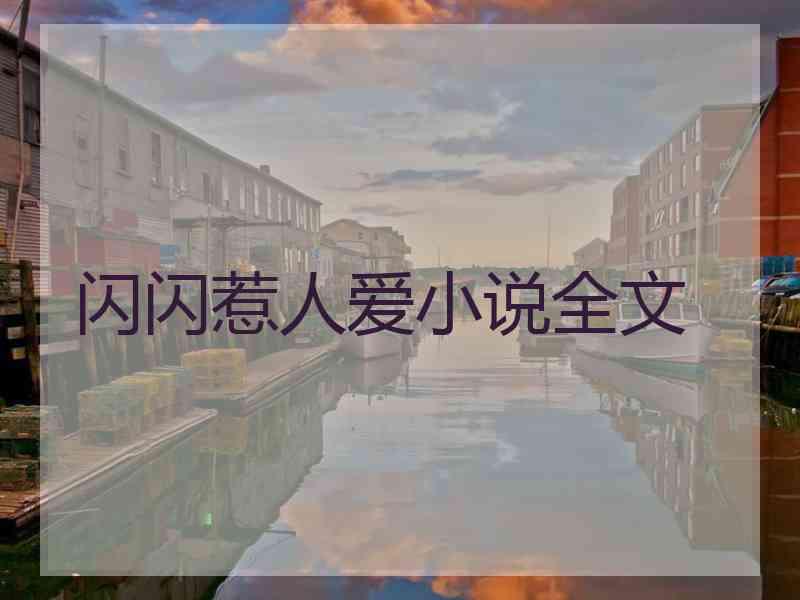 闪闪惹人爱小说全文