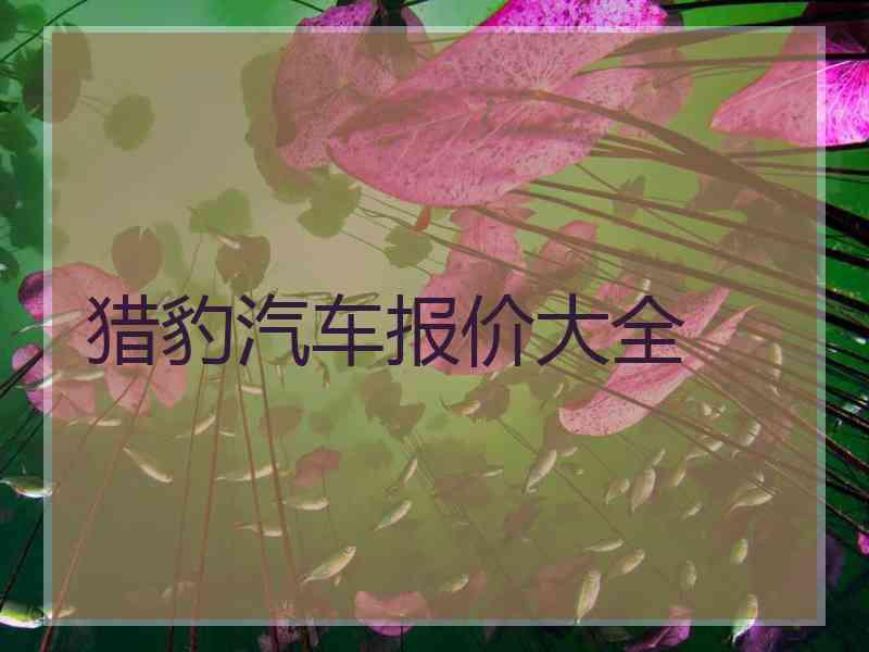 猎豹汽车报价大全