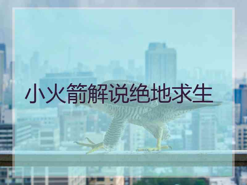 小火箭解说绝地求生