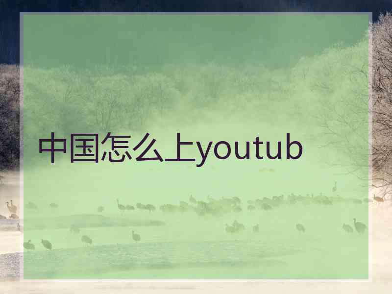中国怎么上youtub