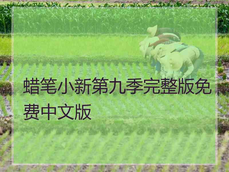 蜡笔小新第九季完整版免费中文版
