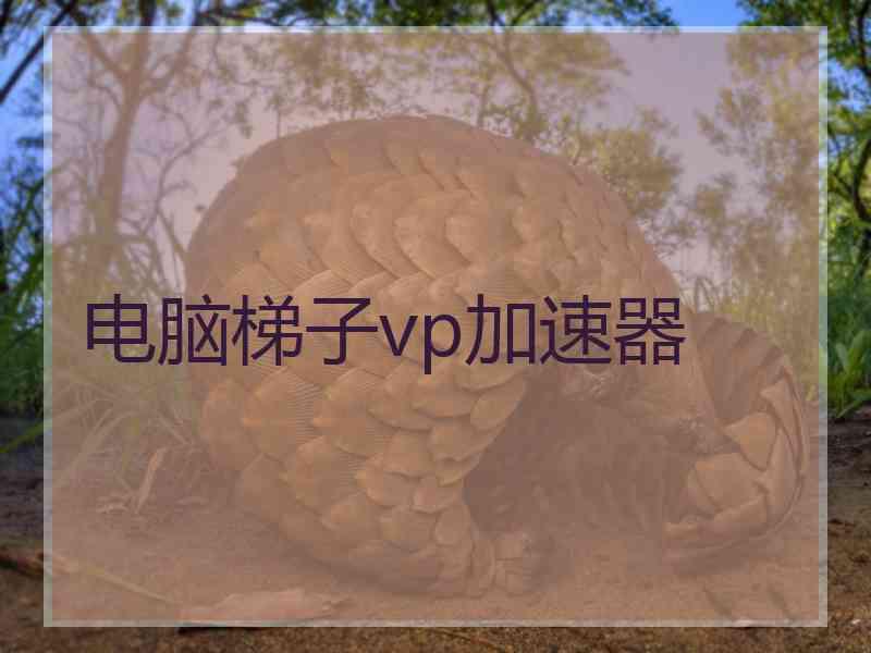 电脑梯子vp加速器