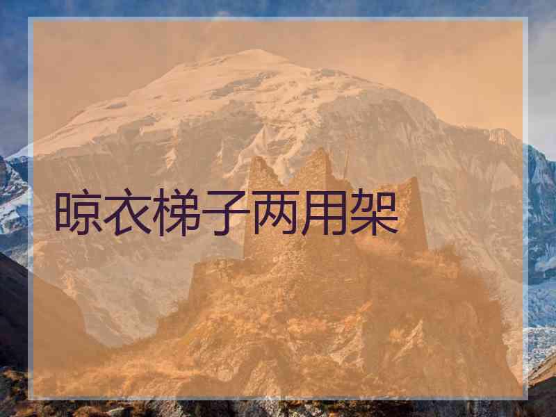 晾衣梯子两用架