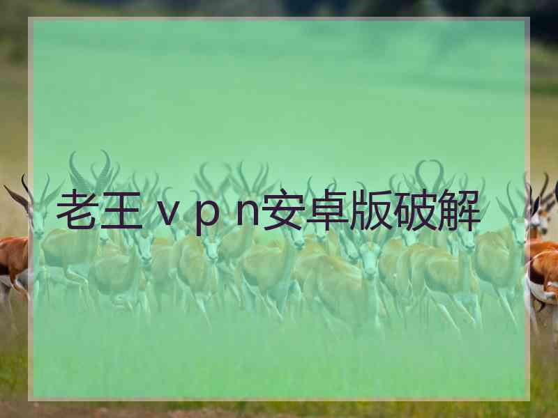 老王 v p n安卓版破解