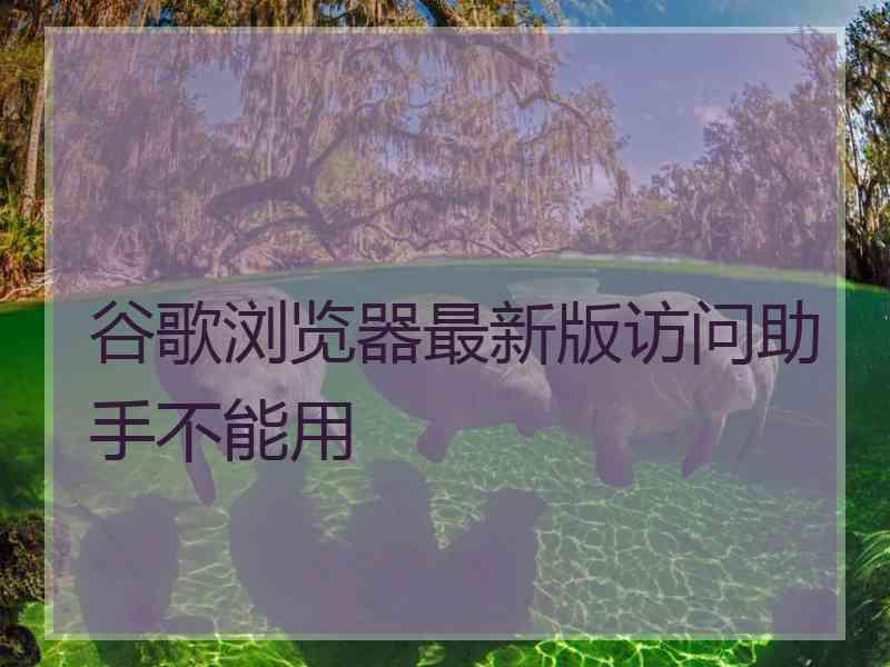 谷歌浏览器最新版访问助手不能用