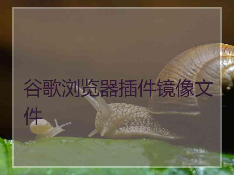 谷歌浏览器插件镜像文件