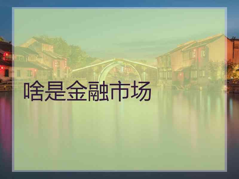 啥是金融市场