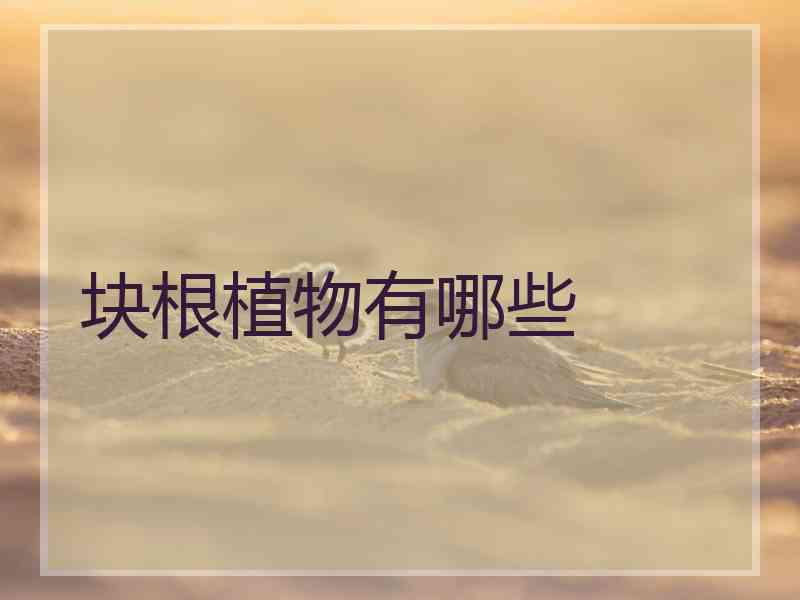 块根植物有哪些