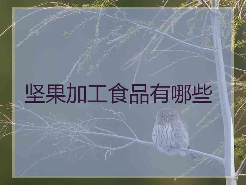 坚果加工食品有哪些