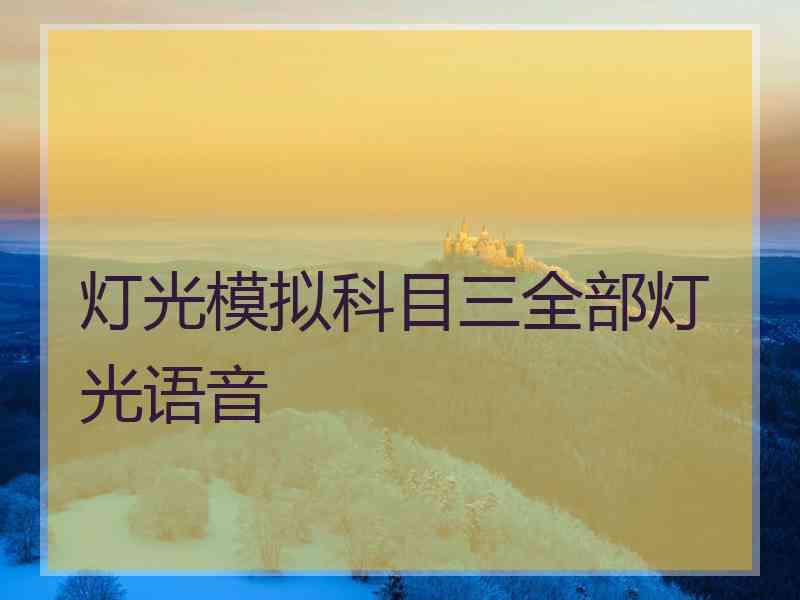 灯光模拟科目三全部灯光语音