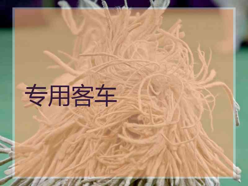 专用客车