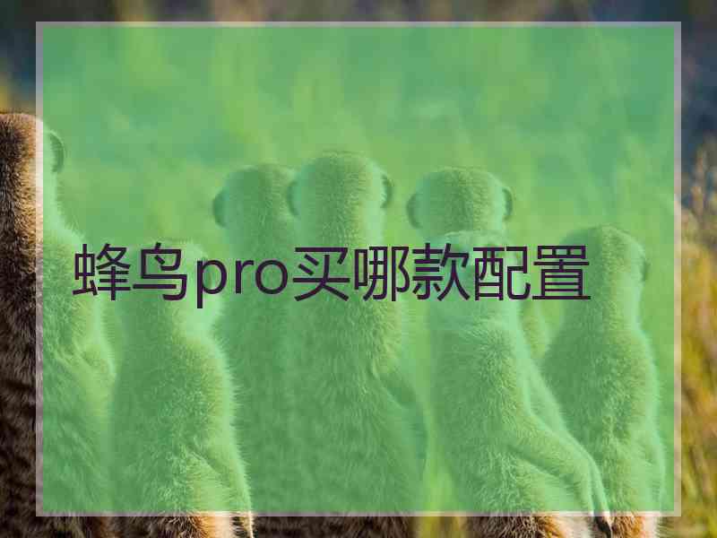 蜂鸟pro买哪款配置