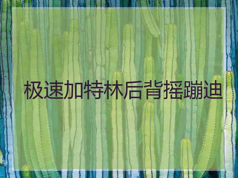 极速加特林后背摇蹦迪