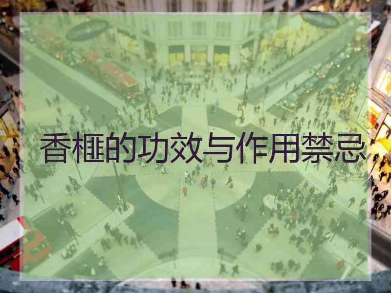香榧的功效与作用禁忌