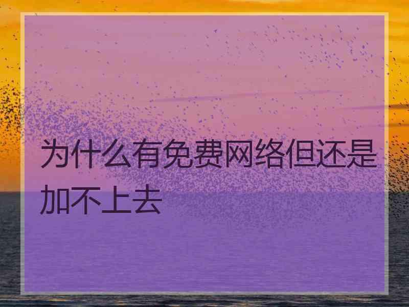 为什么有免费网络但还是加不上去