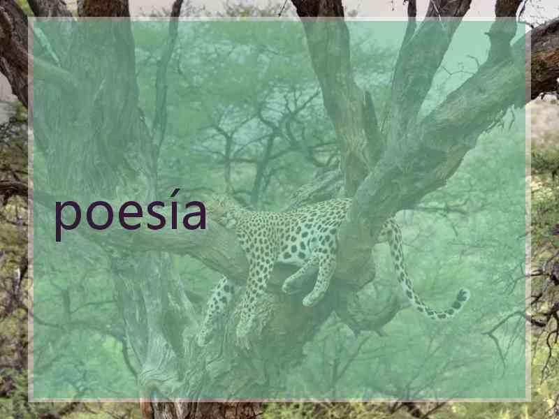poesía