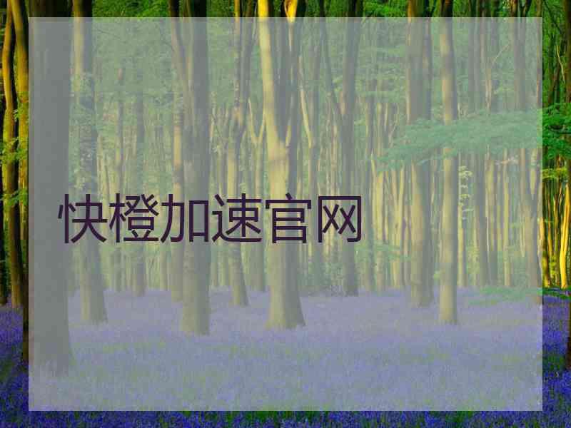 快橙加速官网