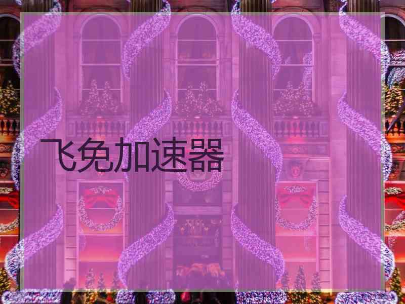 飞免加速器