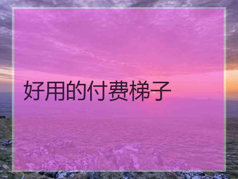好用的付费梯子