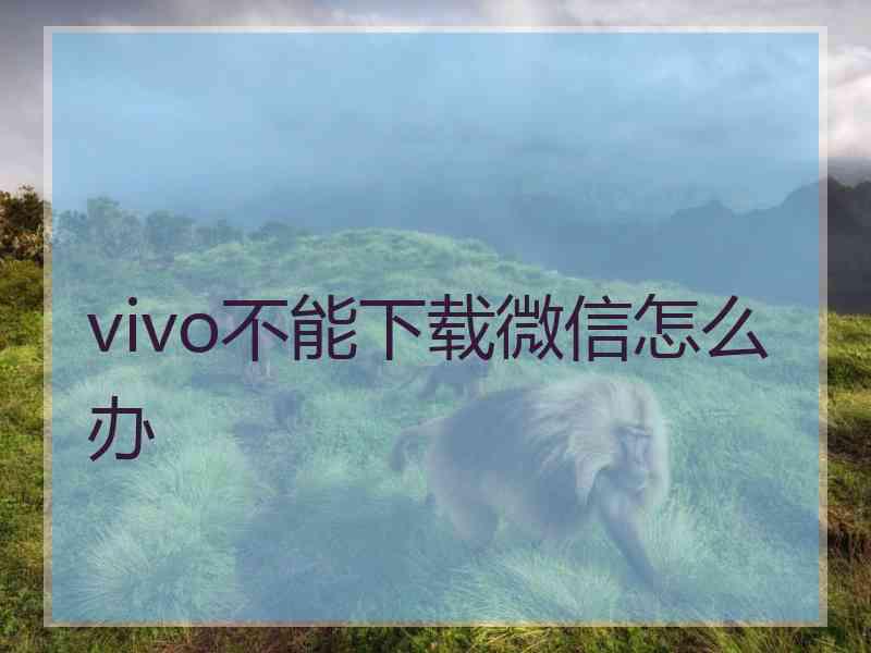 vivo不能下载微信怎么办