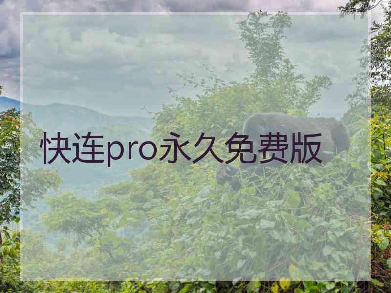 快连pro永久免费版