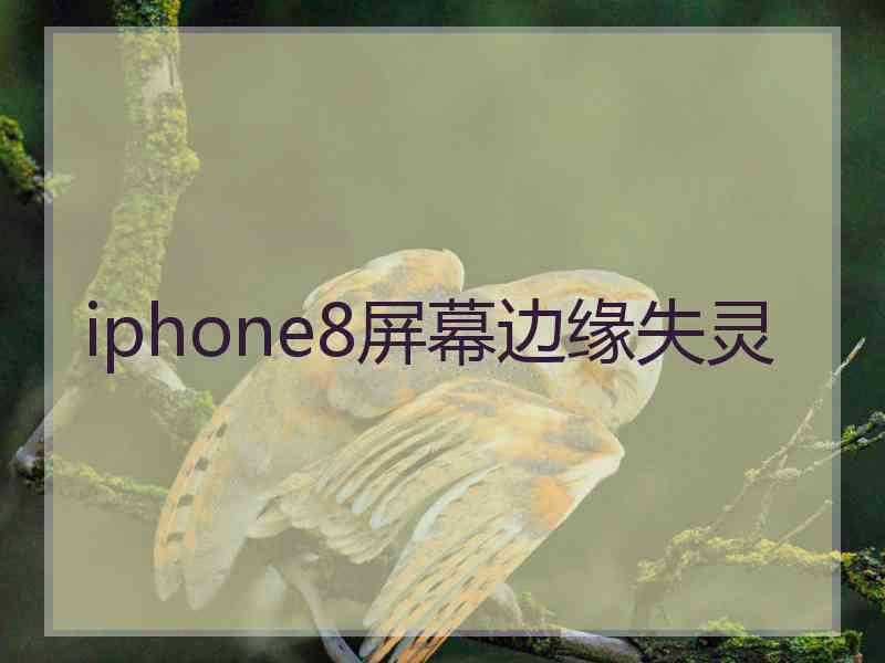 iphone8屏幕边缘失灵