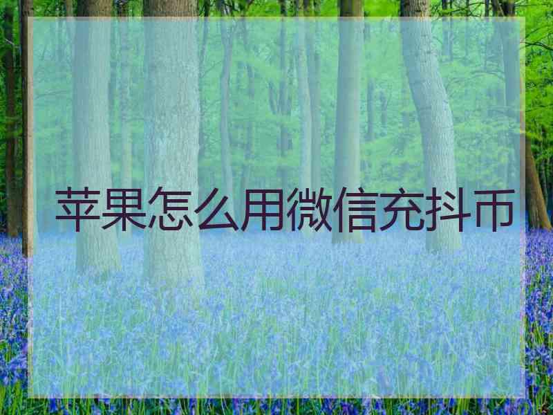 苹果怎么用微信充抖币