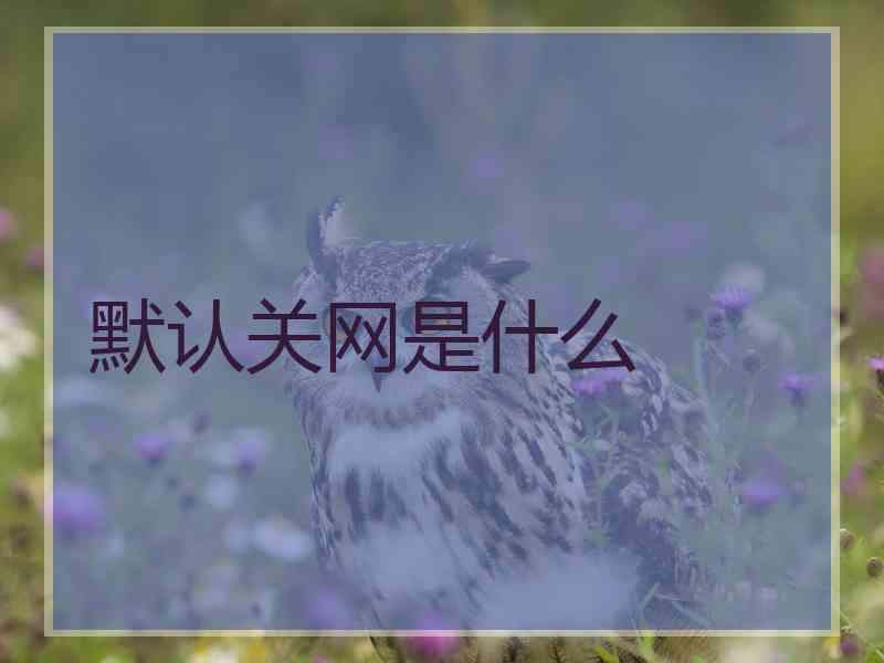 默认关网是什么