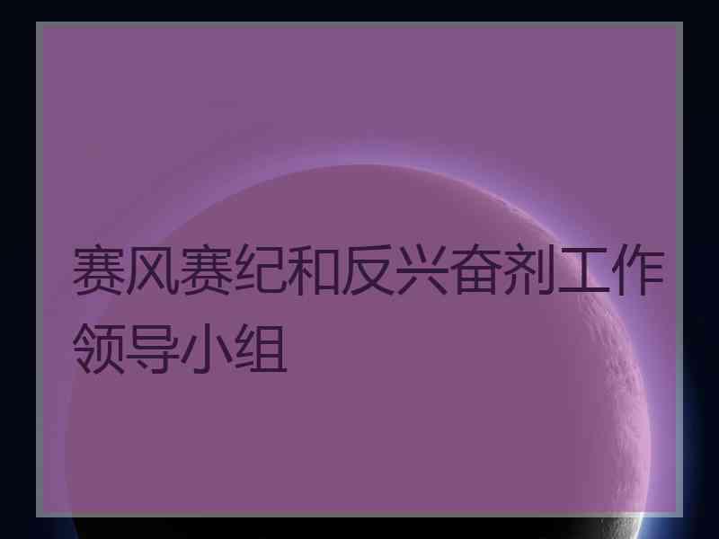 赛风赛纪和反兴奋剂工作领导小组