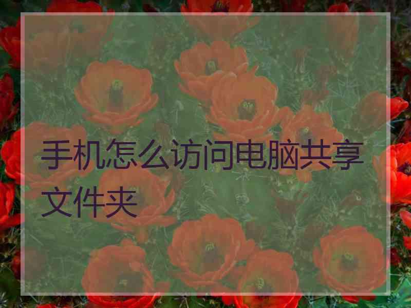 手机怎么访问电脑共享文件夹