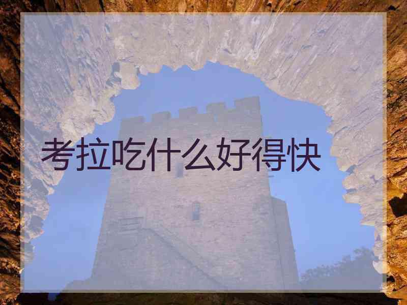 考拉吃什么好得快