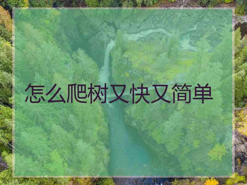 怎么爬树又快又简单