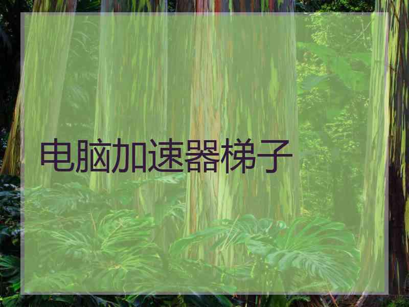 电脑加速器梯子