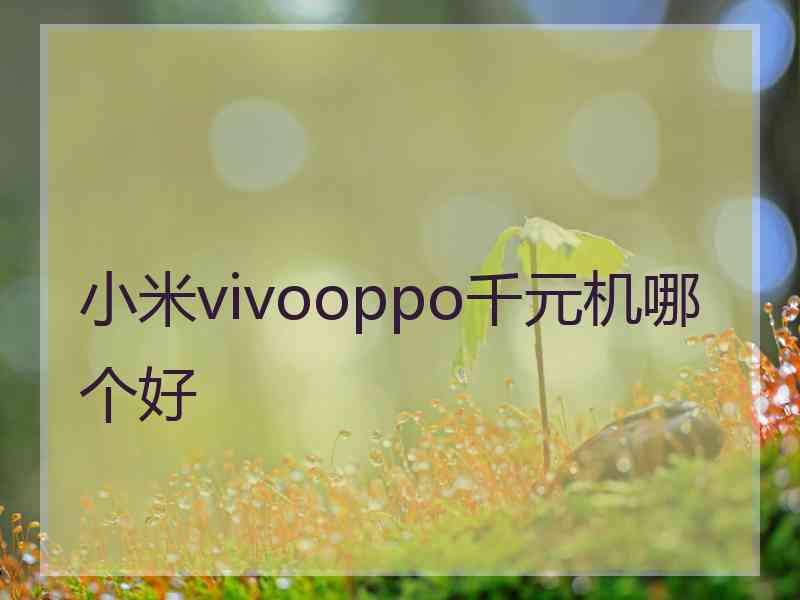 小米vivooppo千元机哪个好