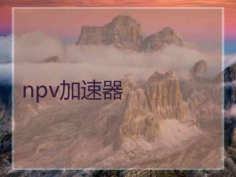 npv加速器
