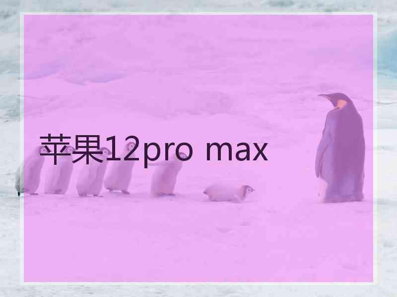 苹果12pro max