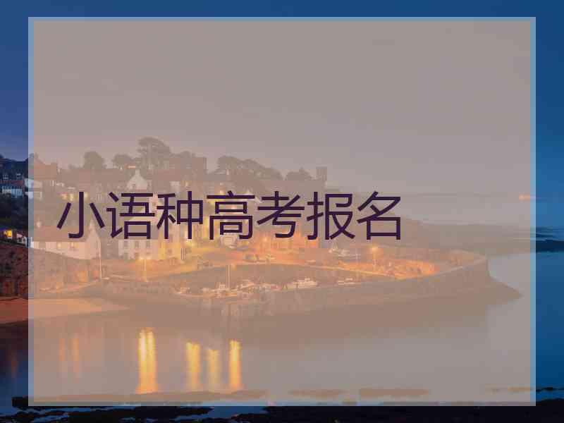 小语种高考报名