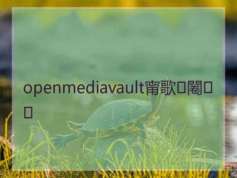 openmediavault甯歌闂