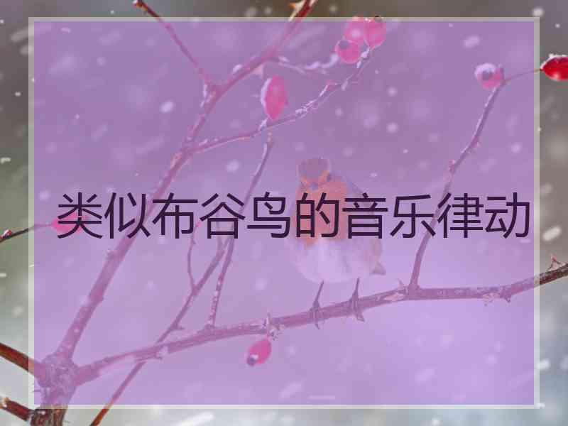 类似布谷鸟的音乐律动