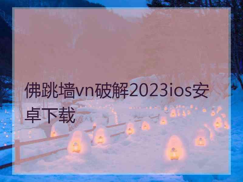 佛跳墙vn破解2023ios安卓下载