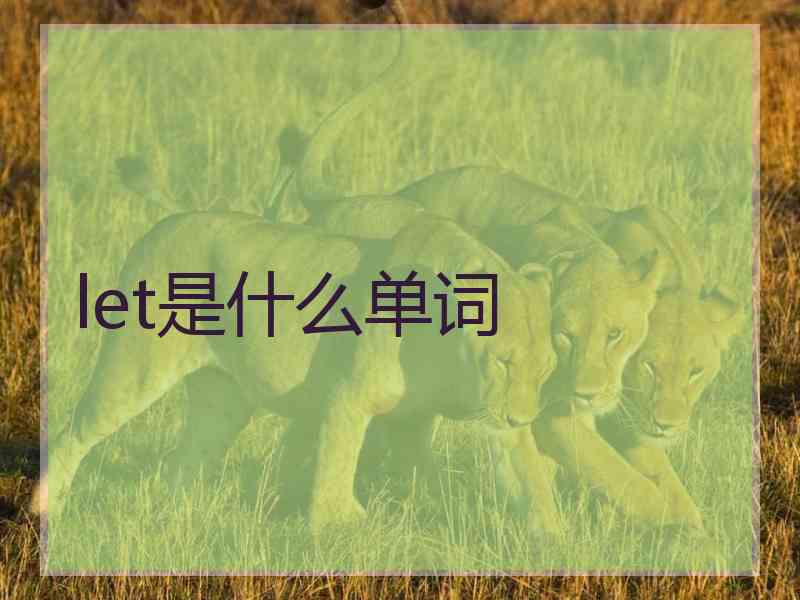let是什么单词