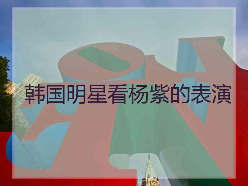韩国明星看杨紫的表演