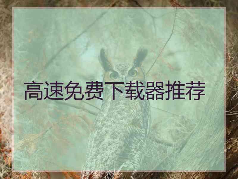 高速免费下载器推荐