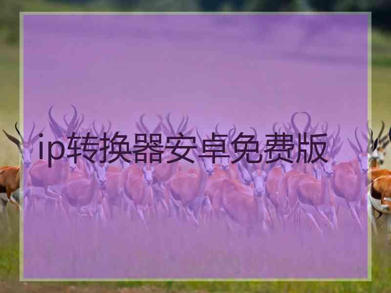 ip转换器安卓免费版