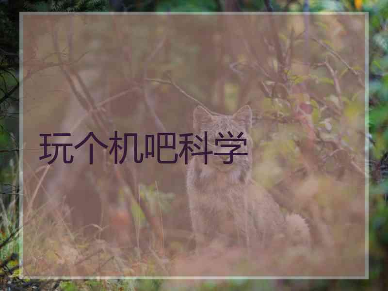 玩个机吧科学