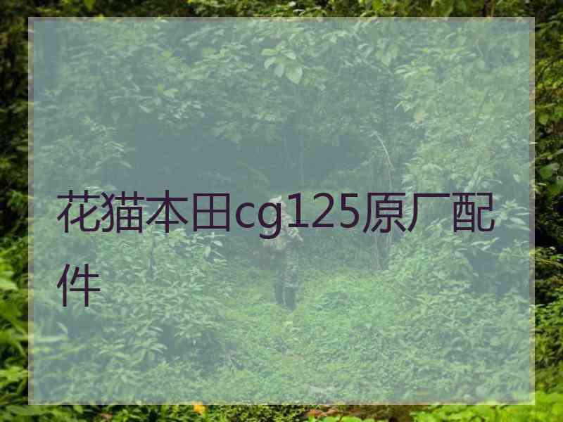 花猫本田cg125原厂配件