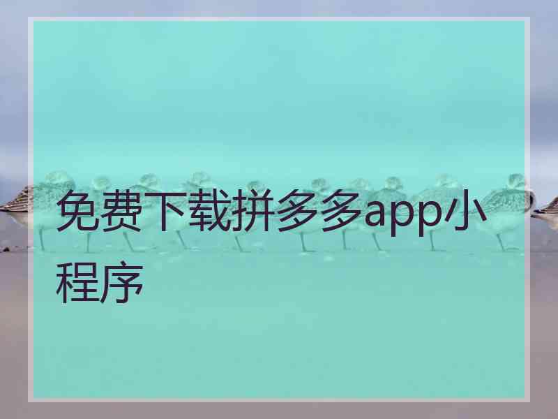 免费下载拼多多app小程序