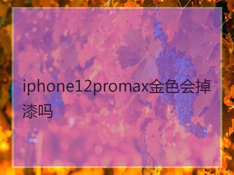 iphone12promax金色会掉漆吗